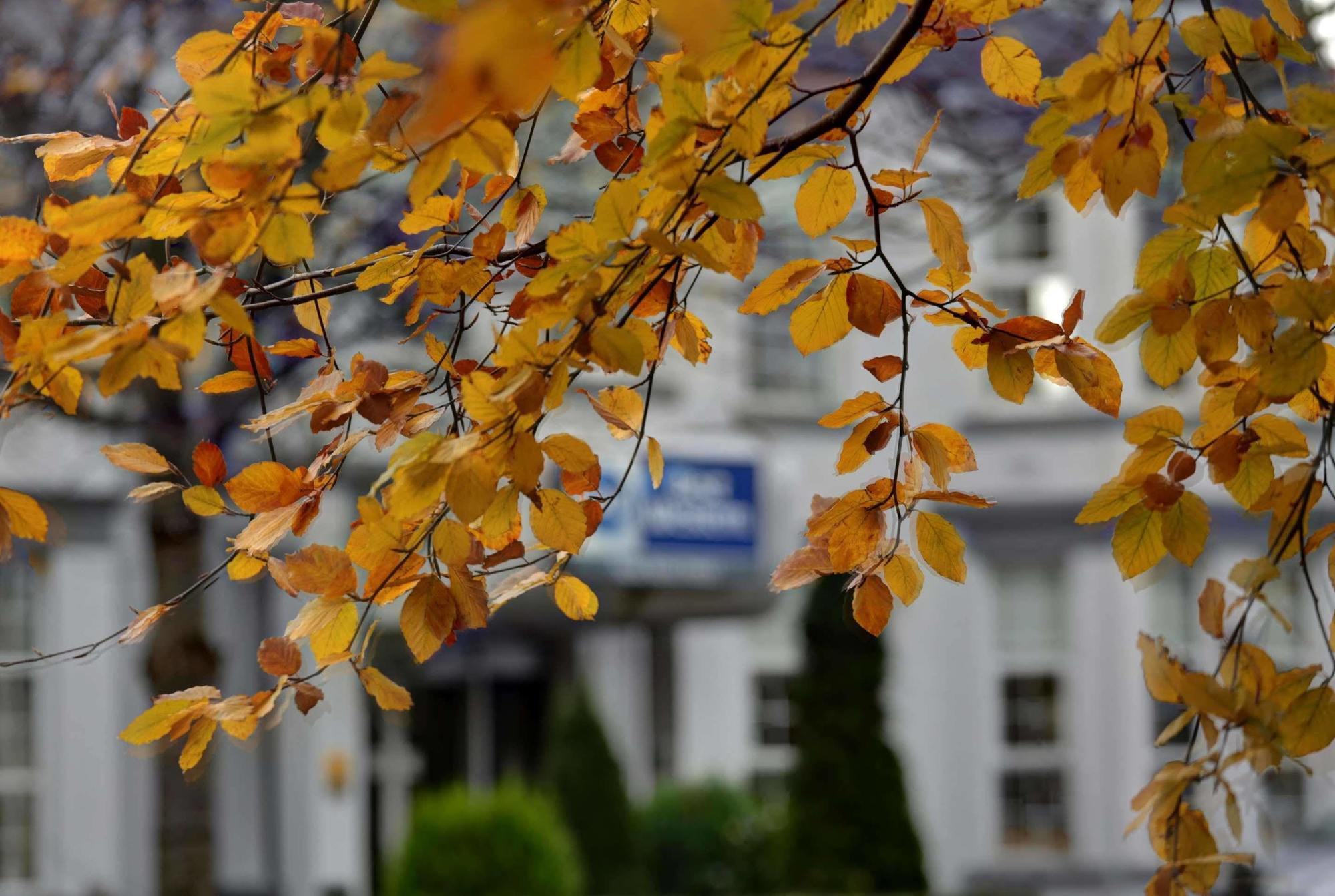 Best Western New Kent Hotel ニューカッスル・アポン・タイン エクステリア 写真